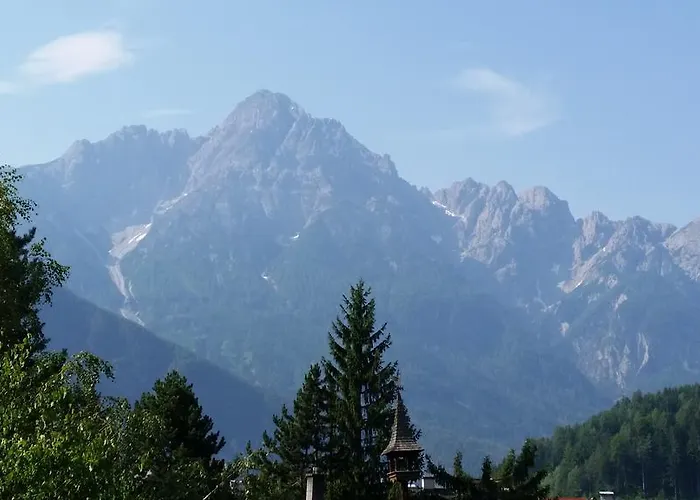 公寓 利恩茨菲林沃浓假日公寓 *